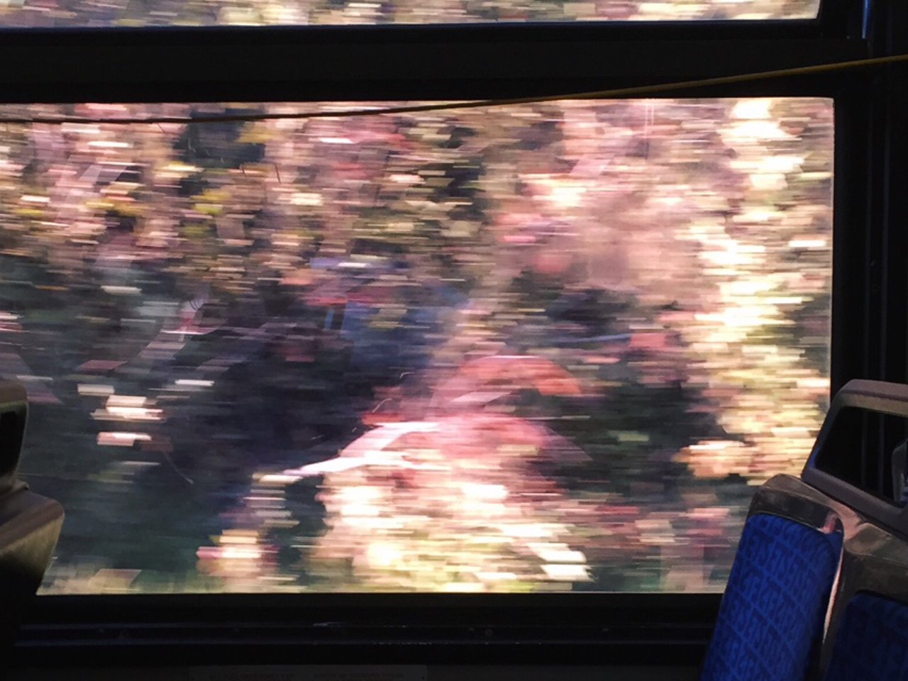 secret thoughts banner