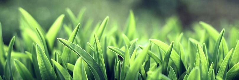 valentin_valyuh's profile banner image