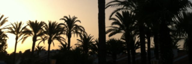 IraqiReal's profile banner image