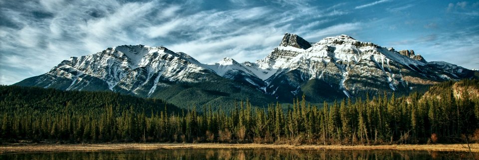 ccarlycrawford's profile banner image