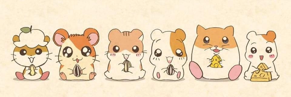 feersi_'s profile banner image