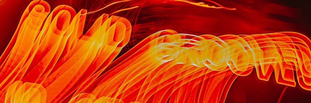 __fern___'s profile banner image