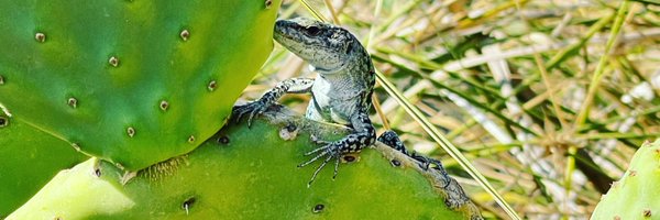 y2jluca Profile Banner