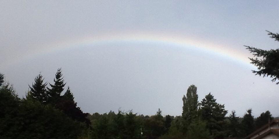 mcjam2112's profile banner image