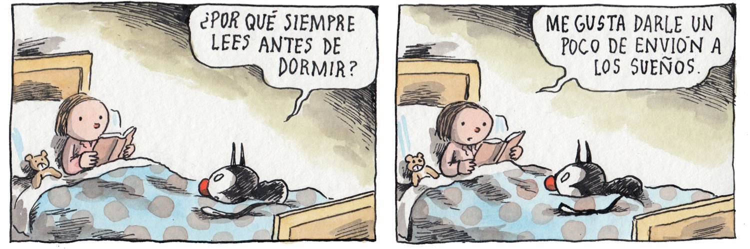 rochi_videla's profile banner image
