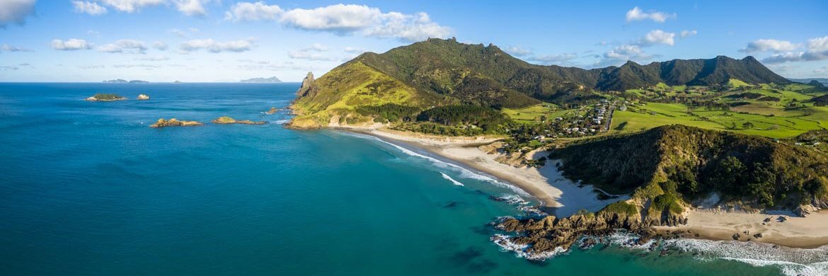 Michael Naylor banner