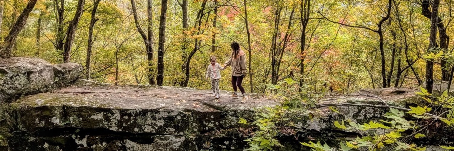 Stephanie Hannah banner