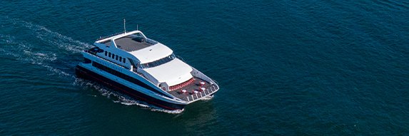 MagisticCruises's profile banner image