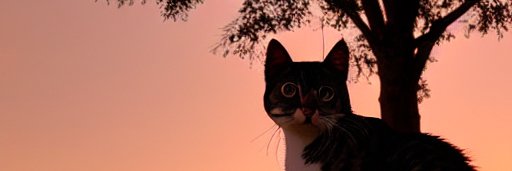 polianece's profile banner image