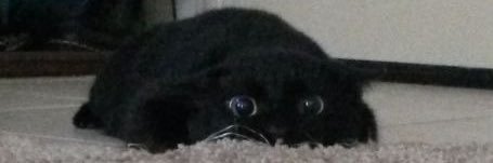 maybjs's profile banner image