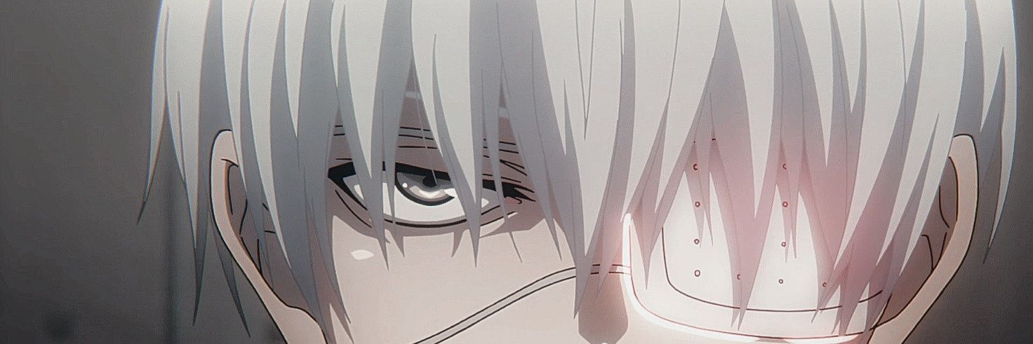 SocialistZenith's profile banner image