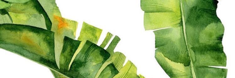 lulucossio's profile banner image