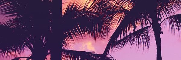 ElBell920's profile banner image