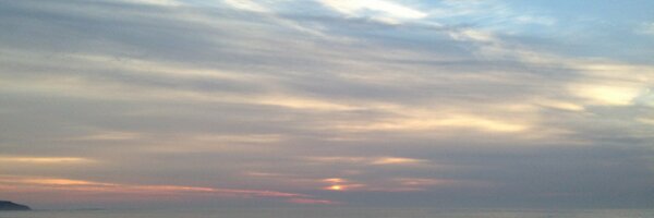 ecblog24 Profile Banner