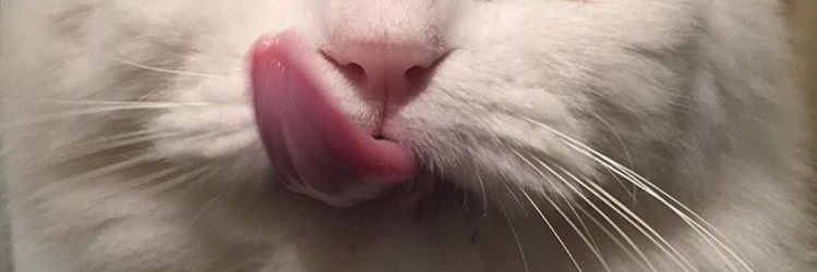ClintBohemian's profile banner image