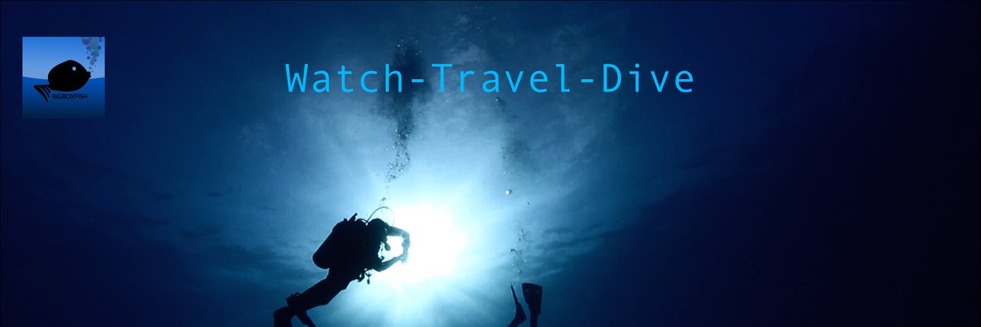 BigBoxfish's profile banner image