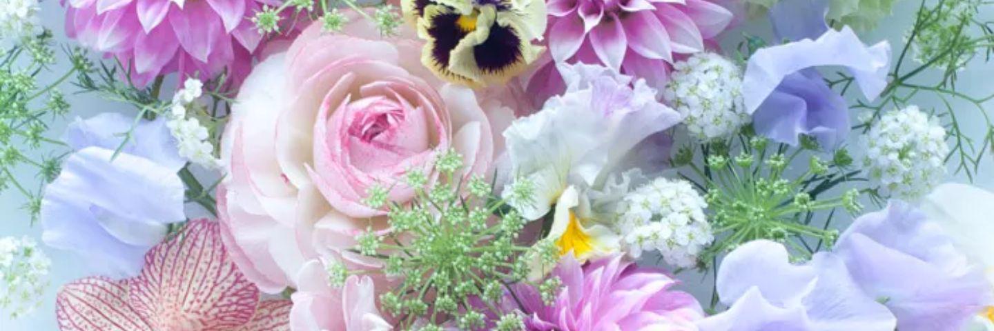 _iamkristel's profile banner image