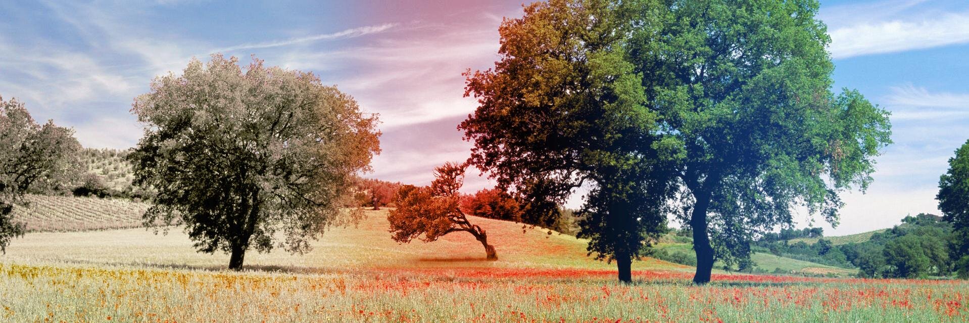 dLAVlad's profile banner image