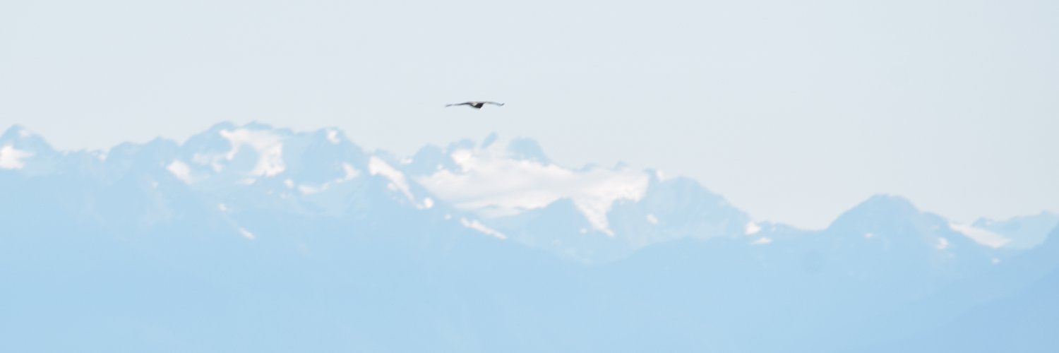 Alejandra Orozco Q. banner