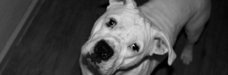 _GRINDtimeNIGGA's profile banner image