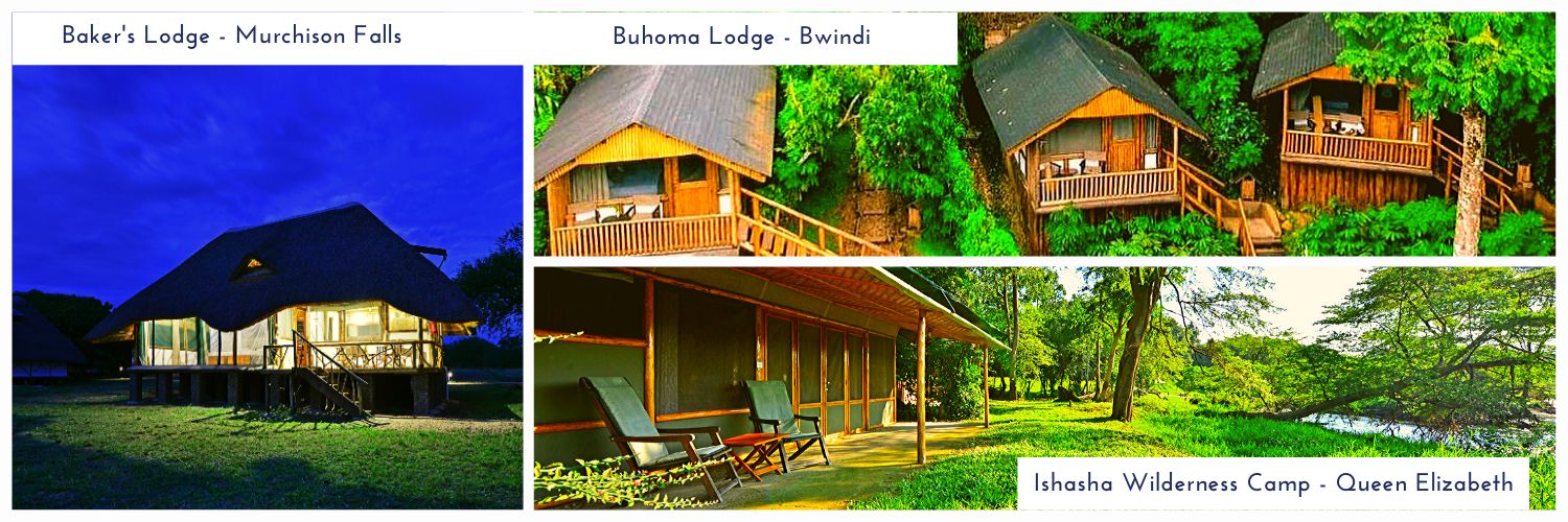 Exclusive Camps UG banner