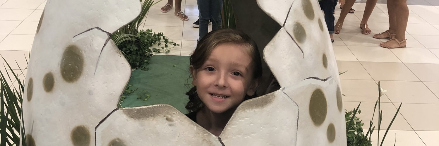 mlferracioli's profile banner image