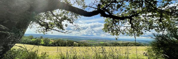 France3QR Profile Banner