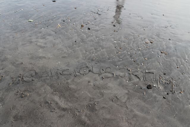 AliciousJktim's profile banner image