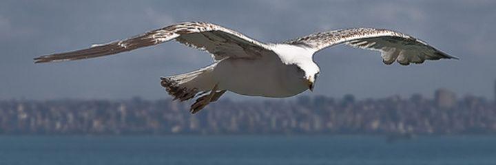 falbdry41's profile banner image