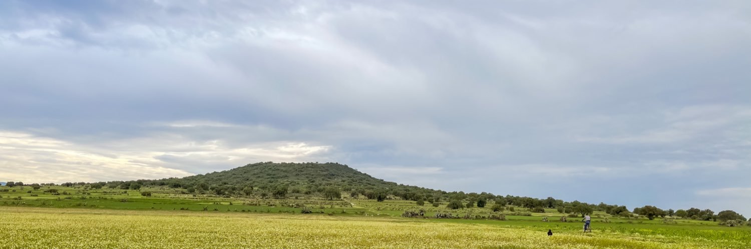 Damof_'s profile banner image