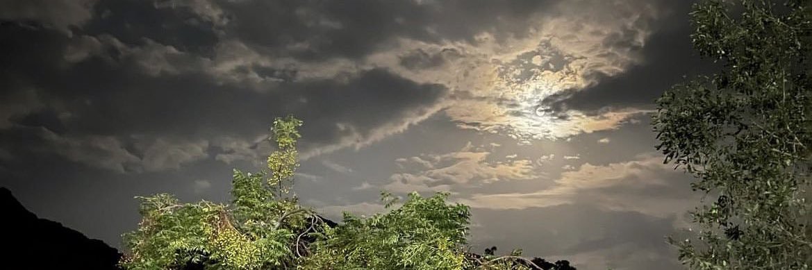 irg_02's profile banner image