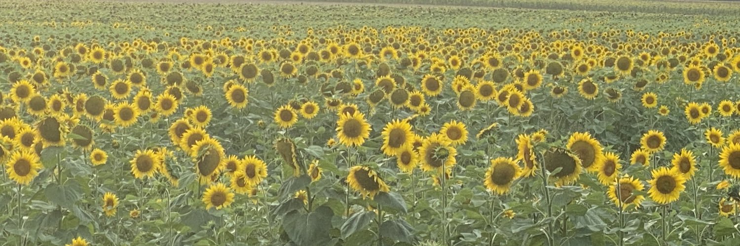 Tara Pauley BSc (Hon), BA (Hons) RM MBPsS banner