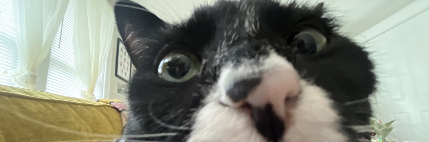 yungemo_'s profile banner image
