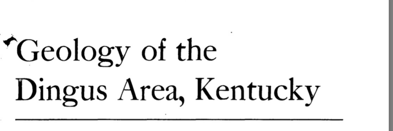 Bob Maplethorpe banner