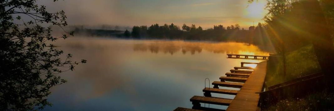 Vladimir Prebilič banner