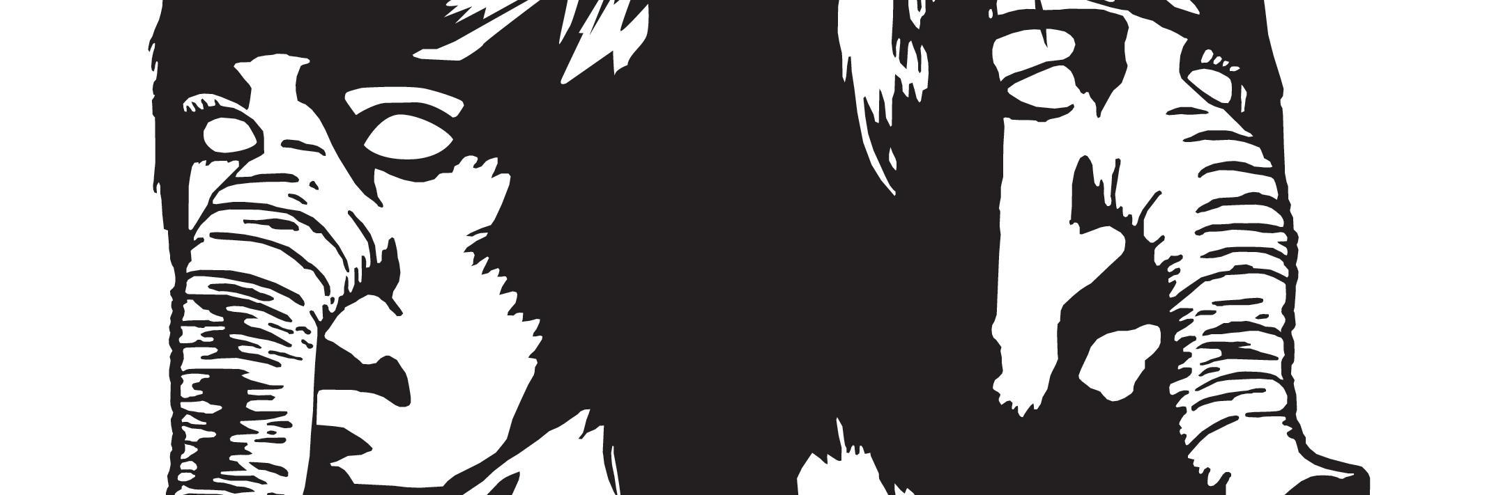 fehrmin_'s profile banner image