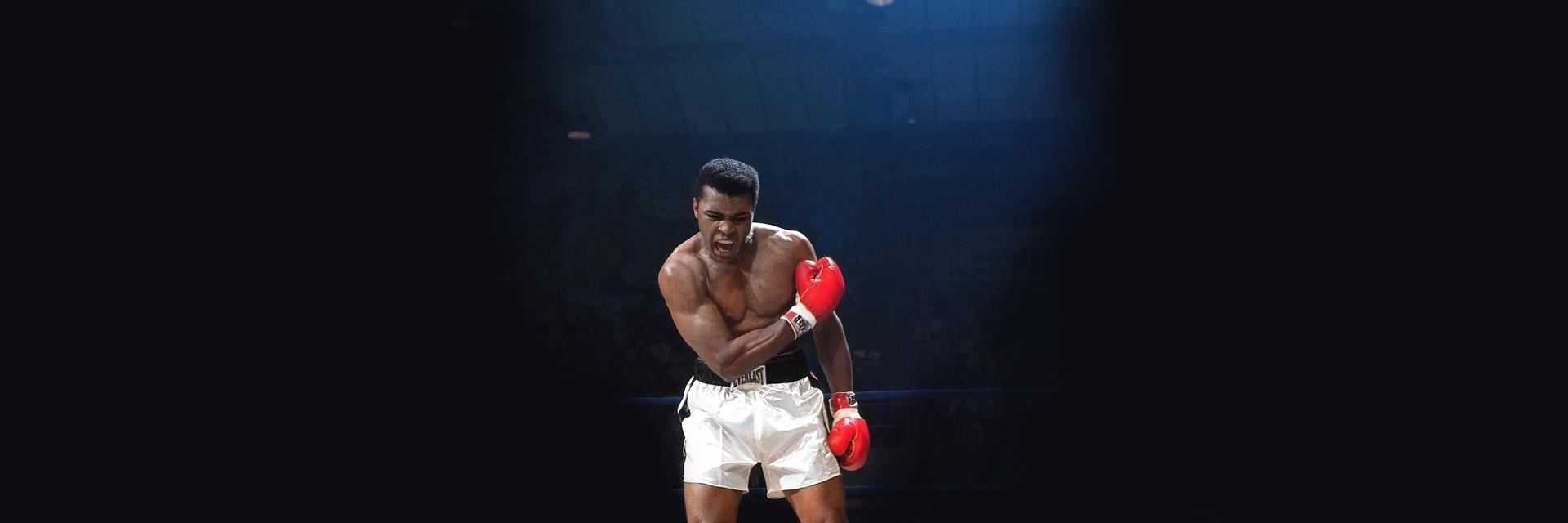 Jonathan Sale banner