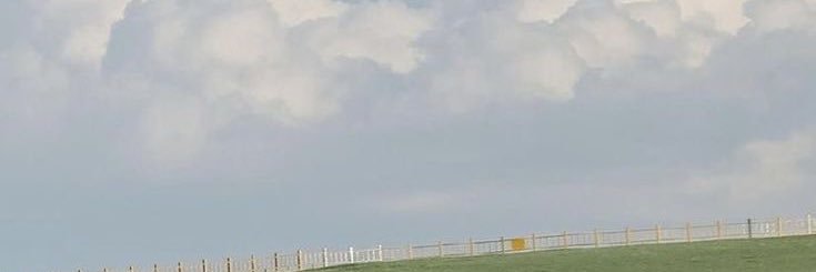 faithlsq's profile banner image