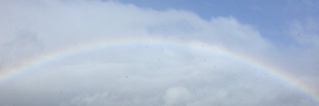 Lauren Semple banner