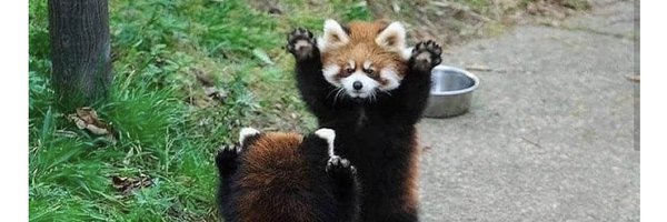 kimakessler Profile Banner