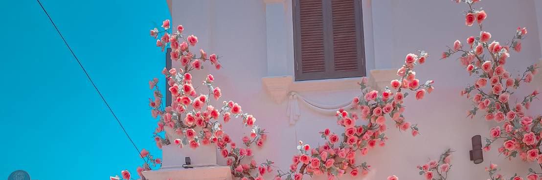 cherry_omyim's profile banner image
