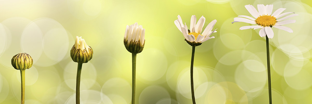 BarbaraMathibe's profile banner image