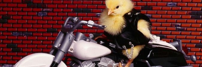 Schnattchen🐣's banner