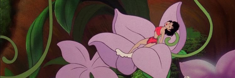 kaileykelley13's profile banner image