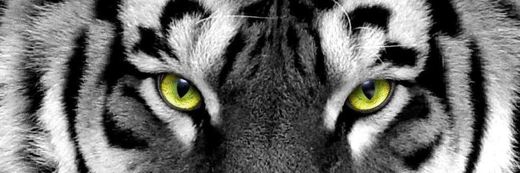 jmray32's profile banner image