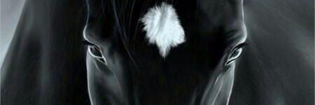 soo200877's profile banner image
