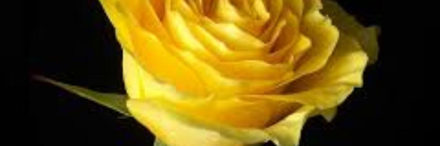 cdemore4913's profile banner image