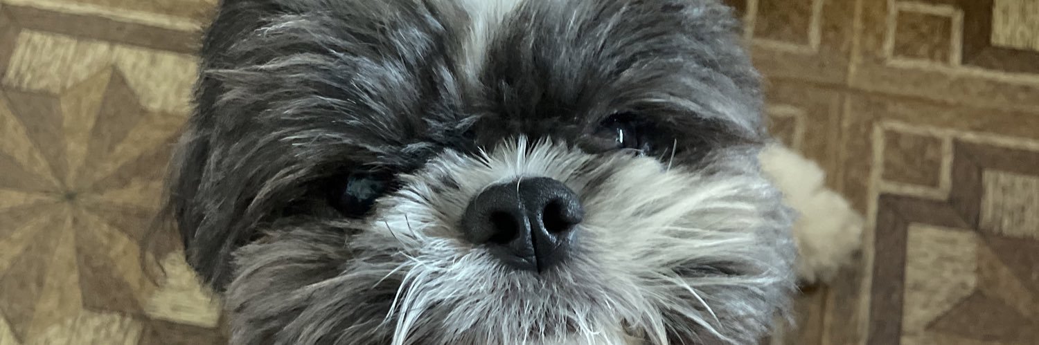 anafiistarol's profile banner image
