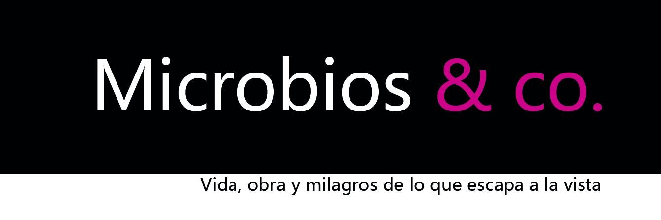MicrobiosAndCo's profile banner image