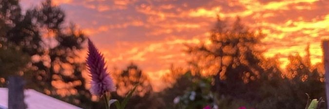 Paito__M's profile banner image